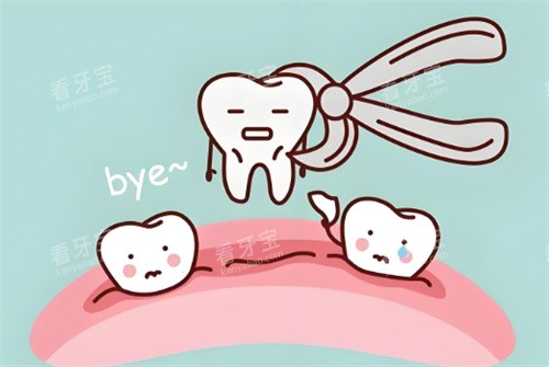 拔牙卡通 拔牙卡通