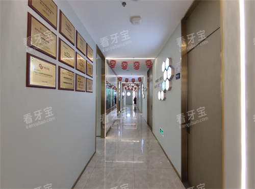 ����������ǻ�����ھ�