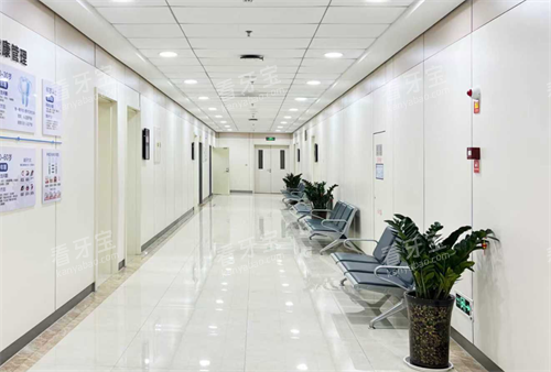 �˳�ӯ��һ����ǻ�Ⱥ���