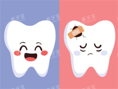 ���������ݺͻ�������