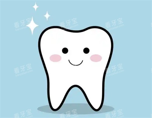 牙齿模拟图 牙齿模拟图