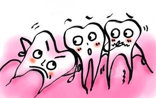 ����������ͼ