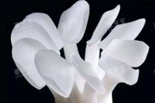 ������Ƭģ��ͼ