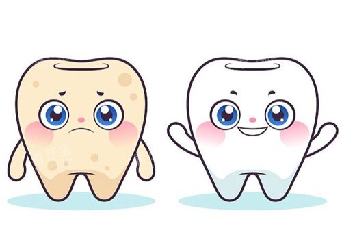 �������׿�ͨǰ��Ա�