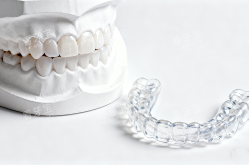 ����͸��������չʾ