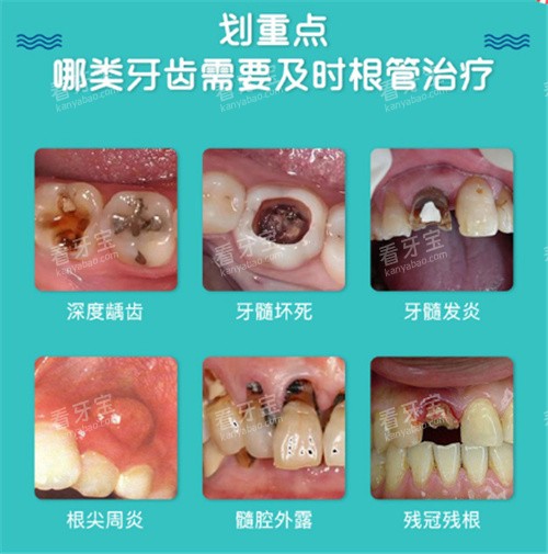 ����������Ӧ֢