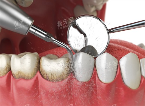 �麣ŵ������ǻ(����������)��ô�������𣿼�����+��ַ·��+Ӫҵʱ��+ԤԼ��ʽ������