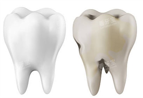 �������ݺͻ�������