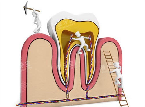 �������ƿ�ͨͼչʾ