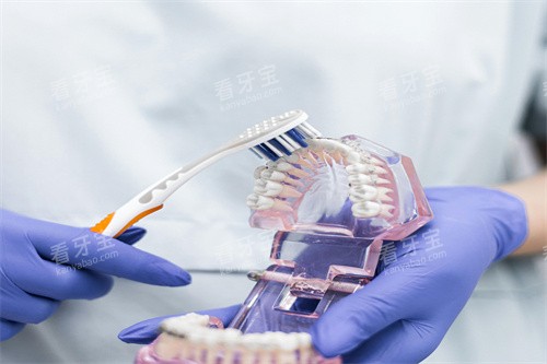 牙齿模型清洗 牙齿模型清洗