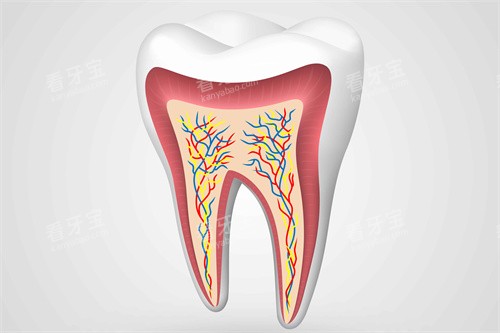 ���������ݽṹͼ