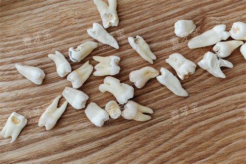 ������������ͼƬ