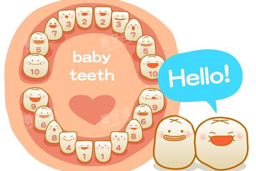 宝宝牙齿生长图 宝宝牙齿生长图