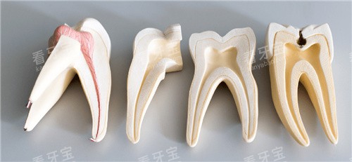 ���ݺ����