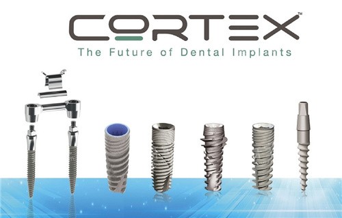 ����˹��ֲ��