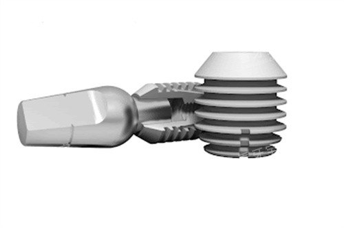 ������������ֲ��