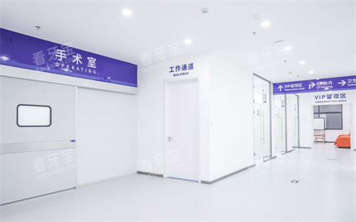 ����˫����ǻ������