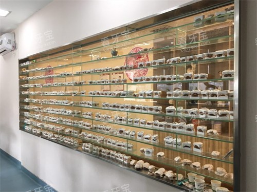 宝鸡小白兔口腔医院牙齿模型展示柜 宝鸡小白兔口腔医院牙齿模型展示柜