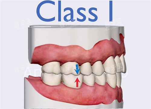 ����ǣ�����°��Ժ�����ҽ�����飺���ϹǶ������������ܸ������ͣ�