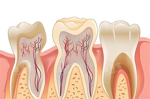 �������ƿ�ͨͼƬ