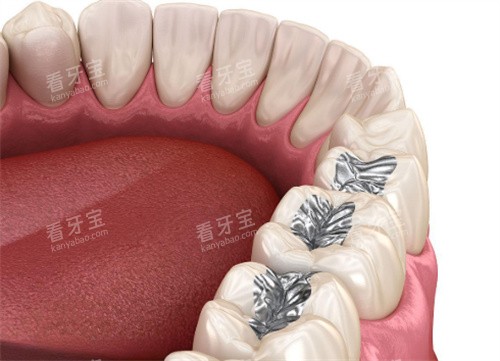 ��������չʾ