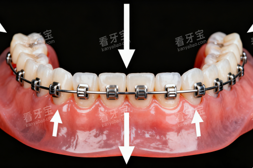 ��ͳ����������չʾͼ