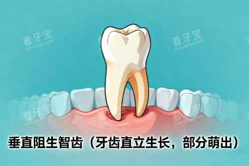 ��ֱ�����ǳ�չʾ