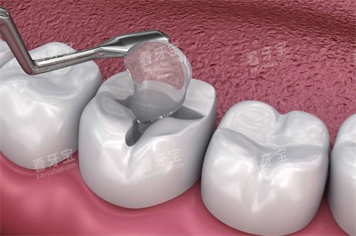 �Ի��������