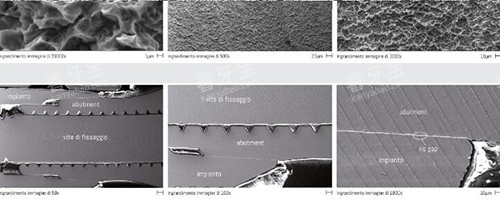 ��̩����ֲ�����洦��