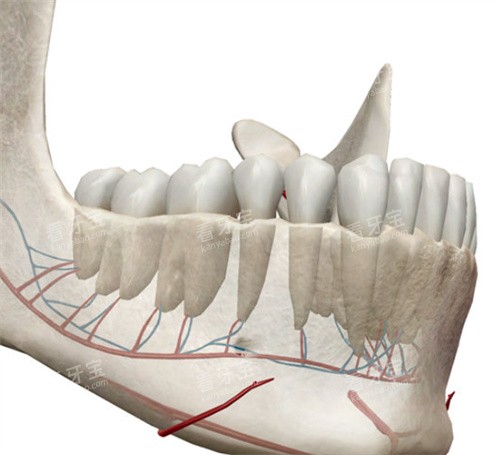 �������ģ��