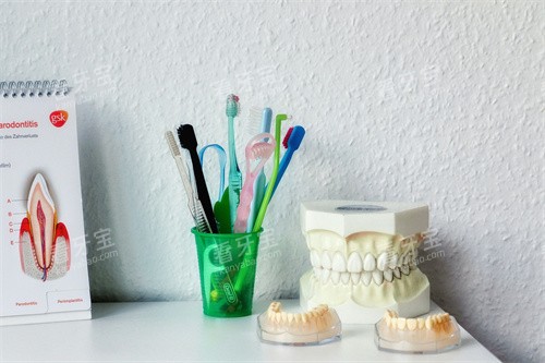 ����ģ������չʾ