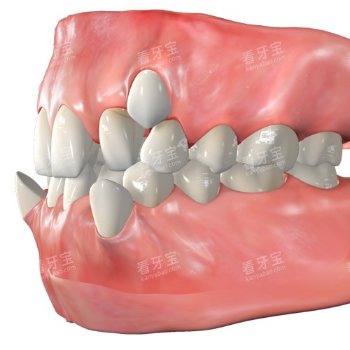 ���ݲ�����