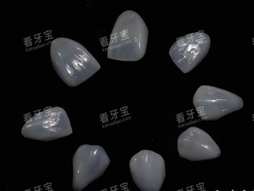 ����������Ƭ