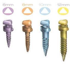 ��ͬ�ߴ����ݽ����Ƕ���ֲ��