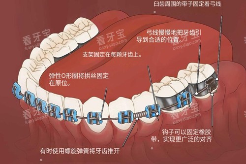 �������ҽԺ�ļҺã�Ʊѡ����ڱ��õ�����ҽԺ����+��������շѼ�Ŀ��һ����