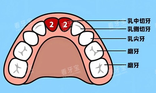 ������λչʾ