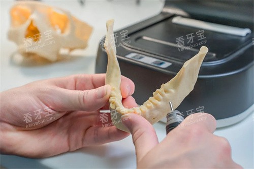 牙齿模型材料示意图 牙齿模型材料示意图