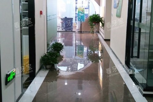 ��ɳ�󱴽���ǻ�ڲ�����