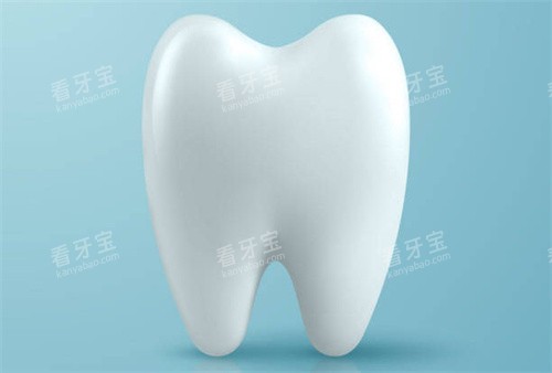 牙齿3D卡通图 牙齿3D卡通图