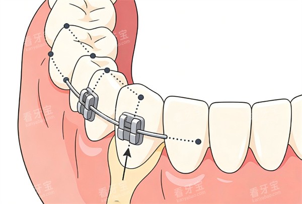 ���ݽ�����������ͼƬ