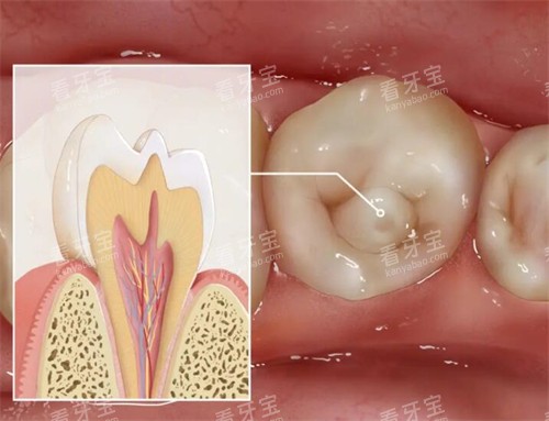 ���ݻ��������ͼƬչʾ