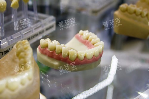 ��������չʾ