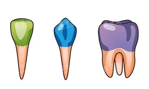 ������������̬