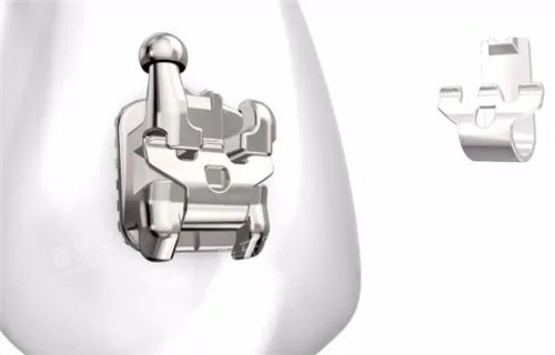 ���������в۽������в�չʾ