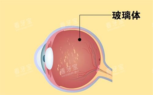 �������λ��