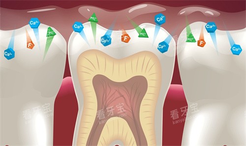 ���������ʷ�������