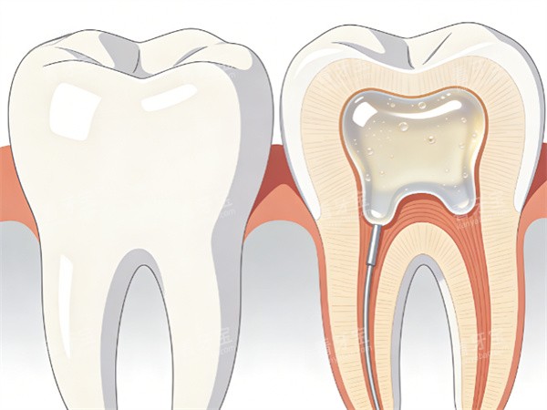 ������֬����<span style=