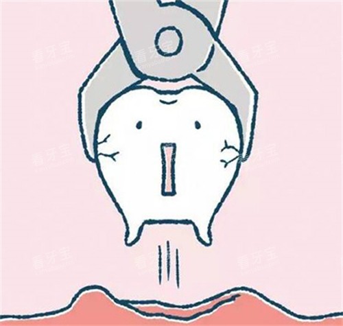 ���ݰγ�����չʾ