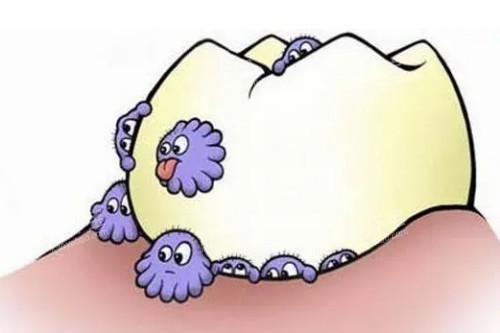 ������ϸ����ͨչʾͼ