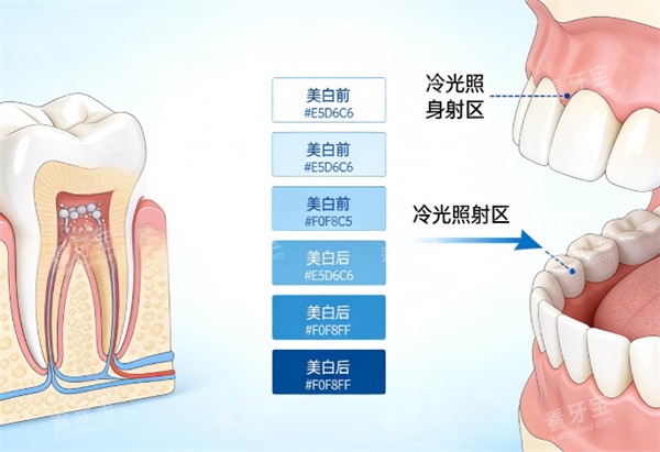 ���������������ʾ��ͼ